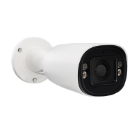 IP камера BL-854F48A-S3-S-HL